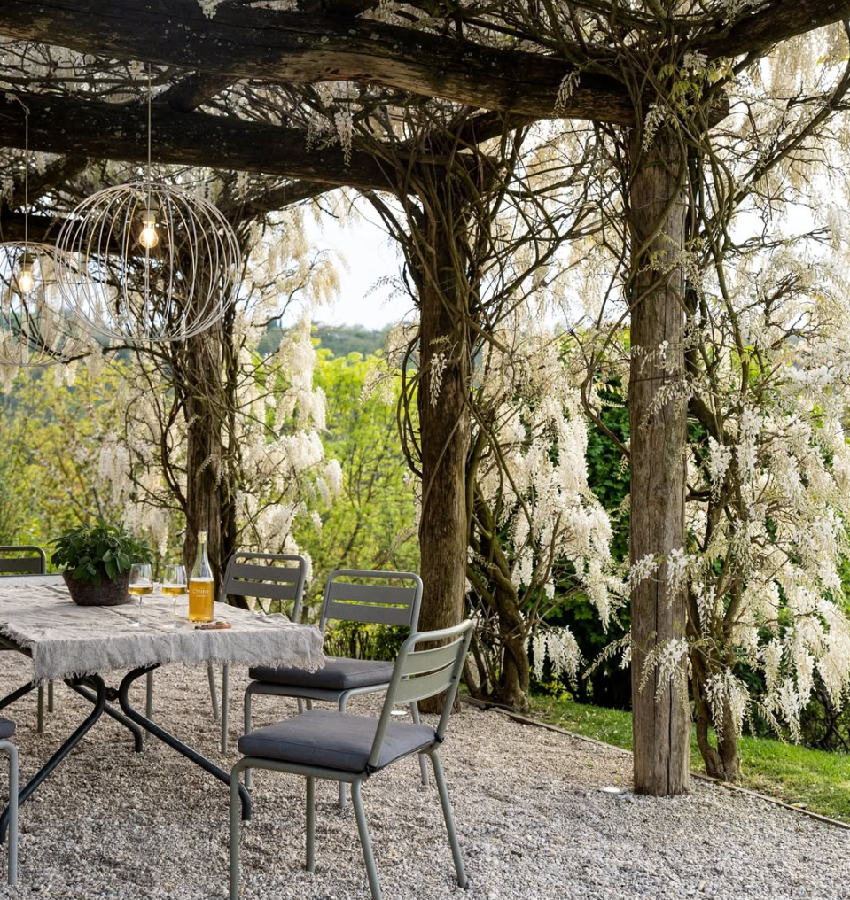 Pergola con tavolo apparecchiato tra i glicini nel casale di Agri Segretum